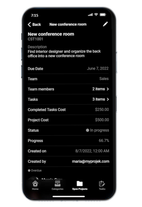 Project detail screen middle