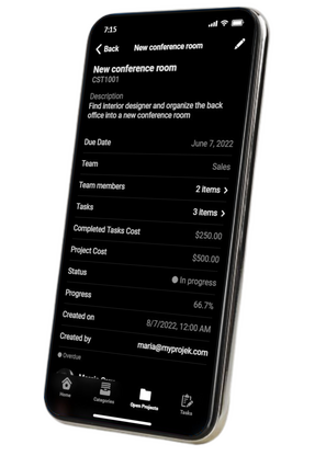 Project detail screen right