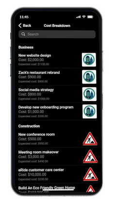 Project cost breakdown middle